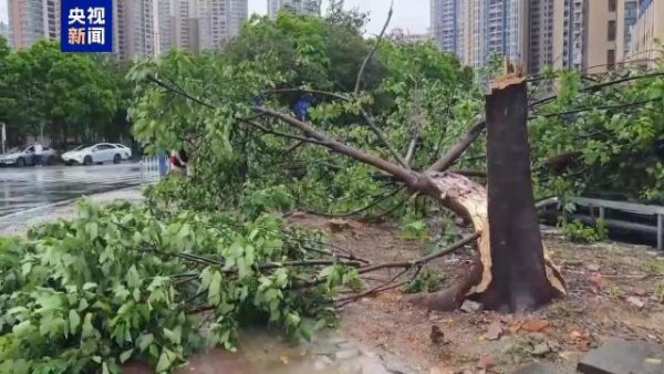火山策略 台风“蝴蝶”已移出广东 个别中小河流发生超警洪水