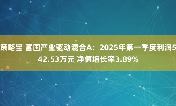 策略宝 富国产业驱动混合A：2025年第一季度利润542.53万元 净值增长率3.89%