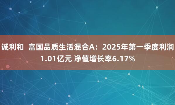 诚利和  富国品质生活混合A：2025年第一季度利润1.01亿元 净值增长率6.17%