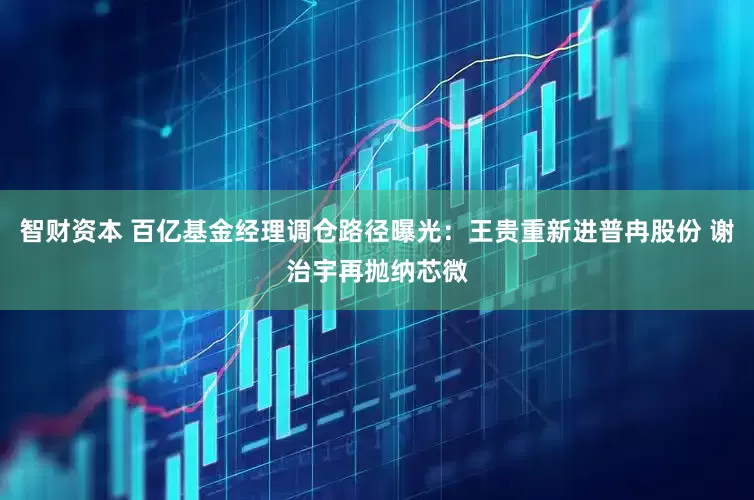 智财资本 百亿基金经理调仓路径曝光：王贵重新进普冉股份 谢治宇再抛纳芯微